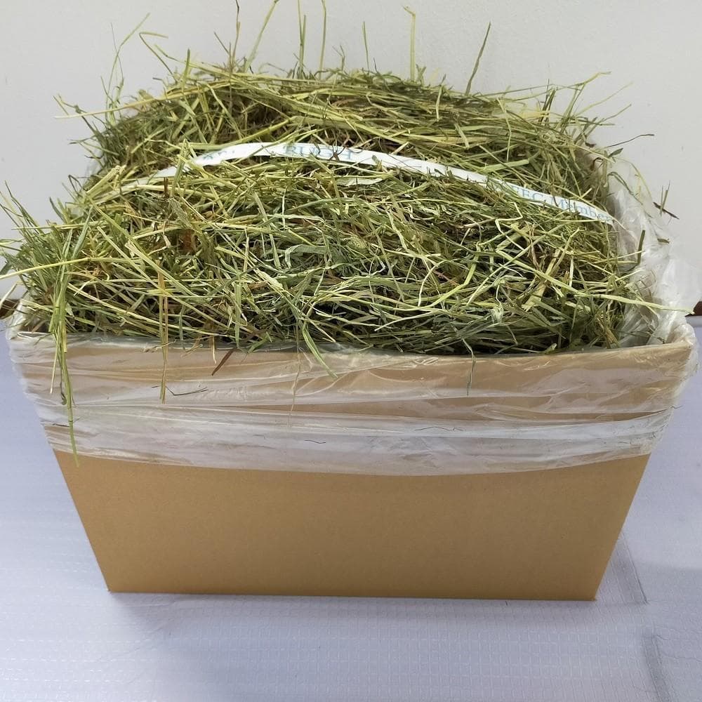 US産 チモシー 120kg ２番刈り ソフトSプレミアム