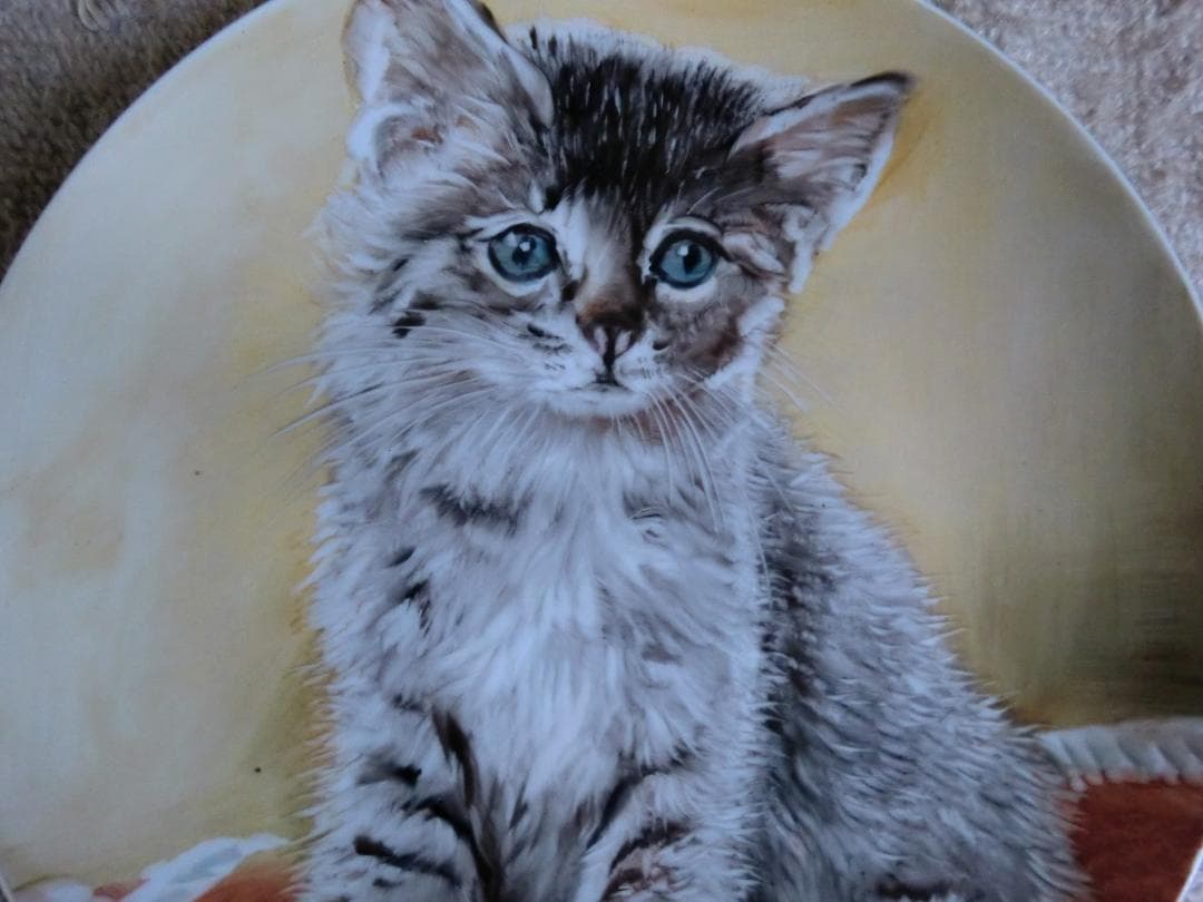 黄綬褒章　受賞 佐分利利成　飾皿