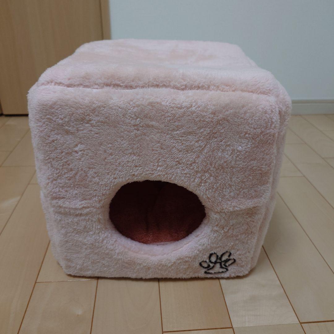 猫　子猫　飼育セット　猫グッズ