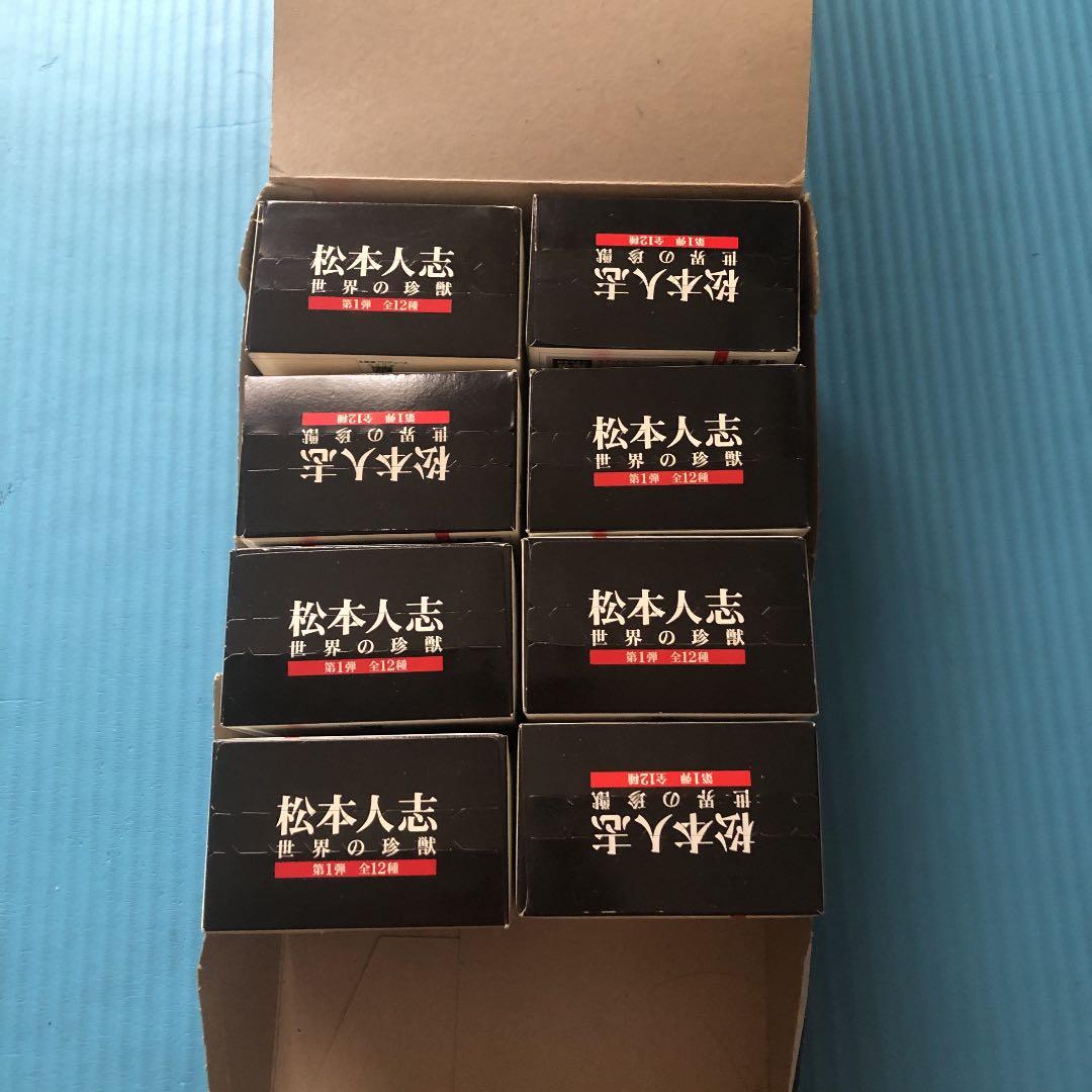 ダウンタウン　松本人志　世界の珍獣