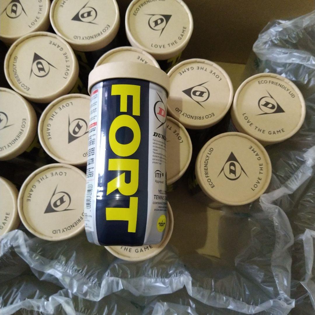 DUNLOP FORT テニスボール 15個入り