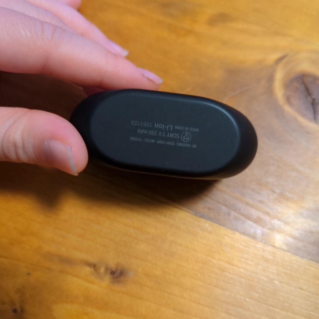 SONY ぼっちざろっく/WF-1000XM5 ワイヤレスイヤホンケース