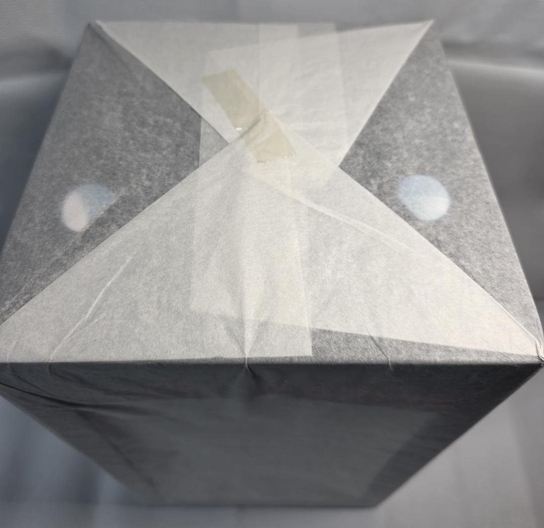 【未開封】『GANTZ：O』 レイカ Xショットガンver（再販）