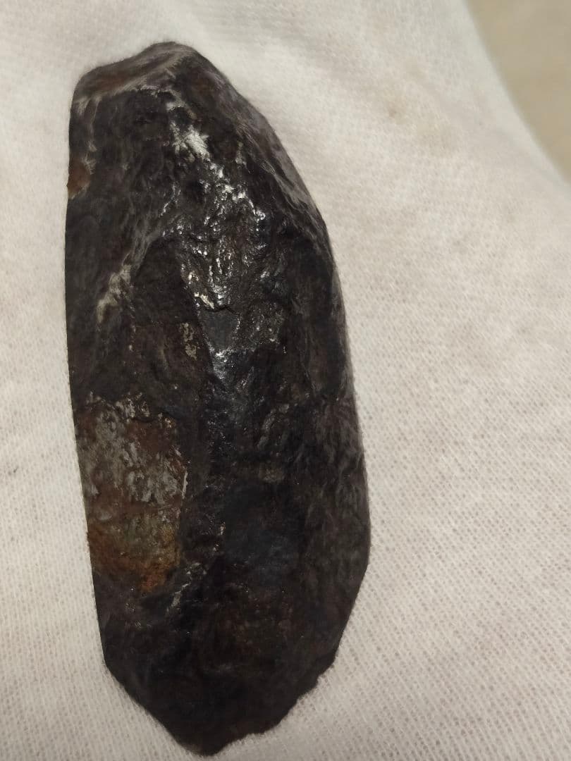 ムオニオナルスタ隕石 84g エンドカット