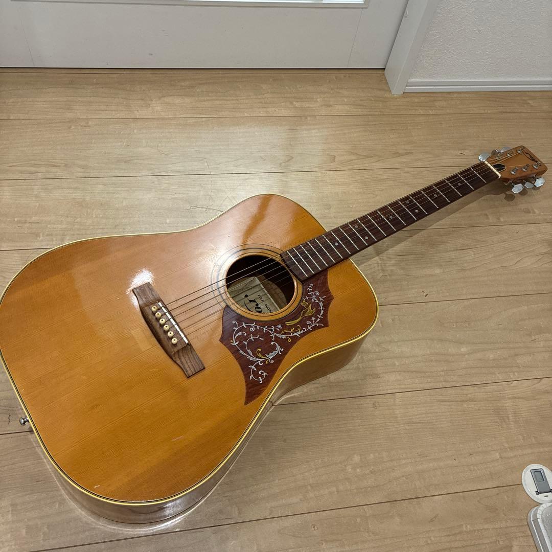 激レア　ZENON roje 全音　アコースティックギター　ハミングバードタイプ