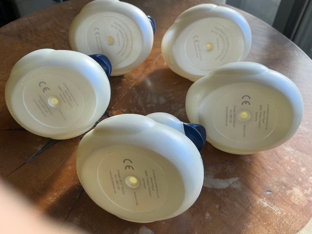 ルフトハンザファーストクラスターミナル、白ダック5羽2025年冬　嘴は紺