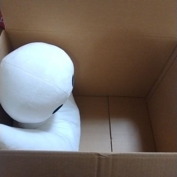 詰め放題　140サイズ