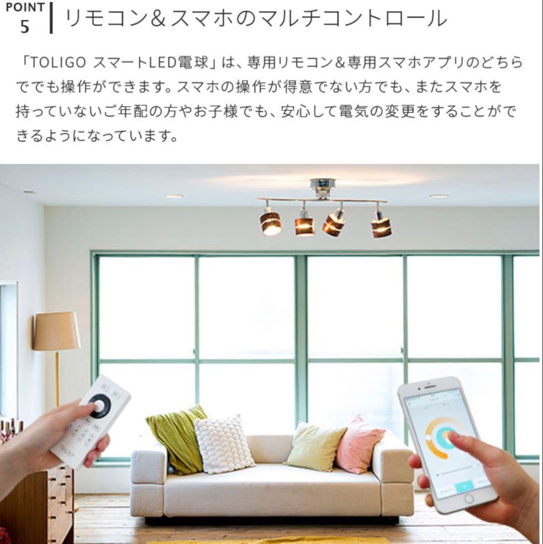 ブラック・ブラウンシーリングライト ＋ TOLIGO LEDスマート電球 E26