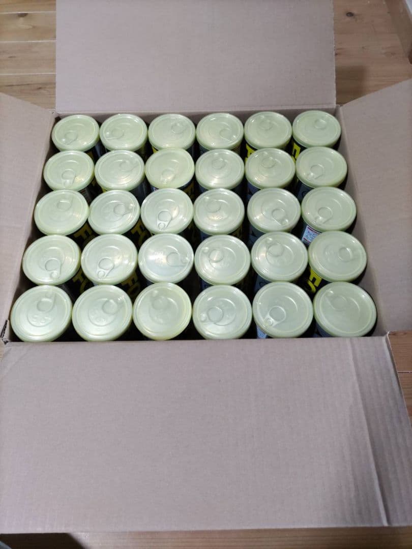 DUNLOP ダンロップFORT フォート 2個入1箱 30缶/60球 新品