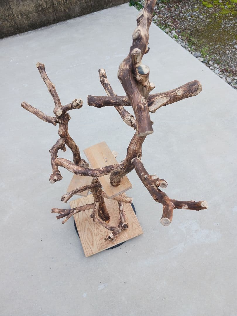 バードアスレチック バードアスレチックジム 止まり木、小鳥、流木(焼き入れ)