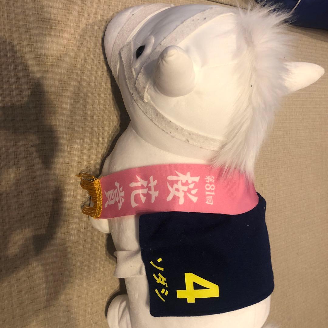 ソダシトウカイテイオー