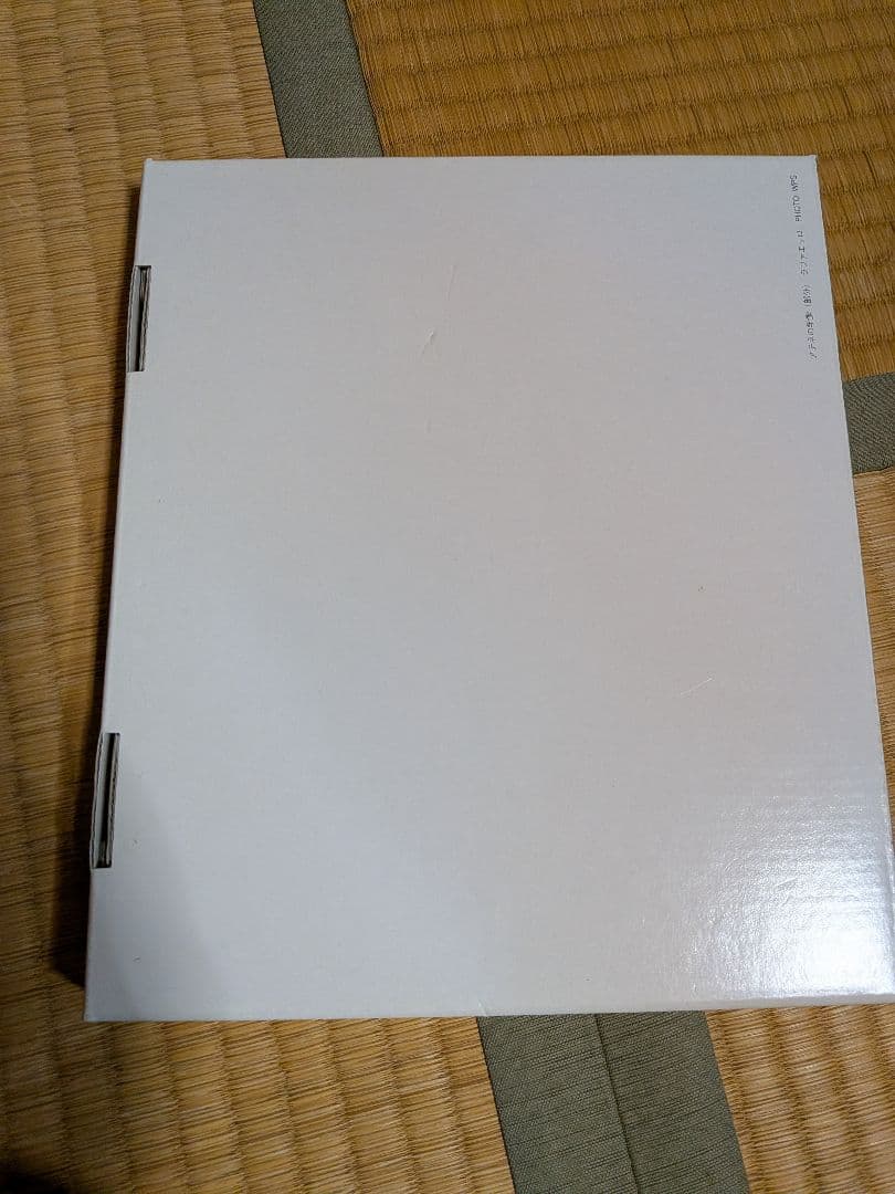 大塚国際美術館　聖家族と聖アンナ