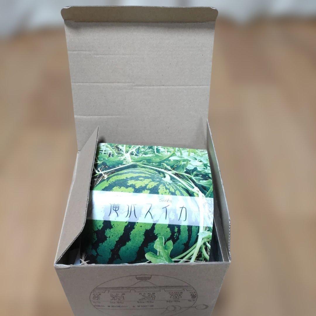 スイカデザイン ルーレットおみくじ　レア　北多摩製作所製品