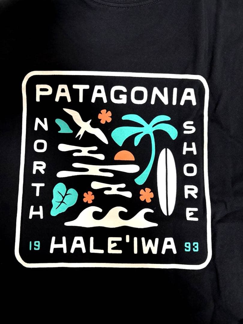 パタゴニア Tシャツ Lサイズ ハワイ ハレイワ限定 黒 バックロゴ 希少
