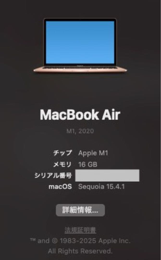 【付属品有、本体美品】MacBook Air M1 ゴールド 16GB 1TB