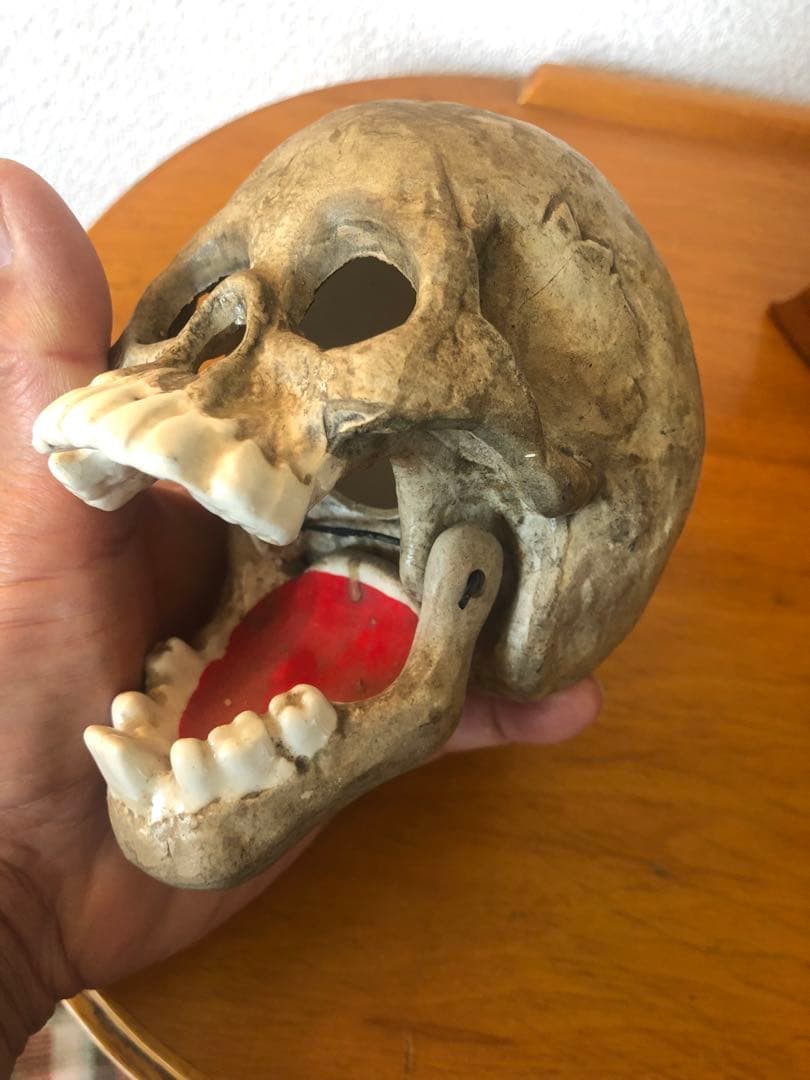 ビンテージ　スカル　髑髏　骸骨　骨董　ミッドセンチュリー　灰皿　アンティーク