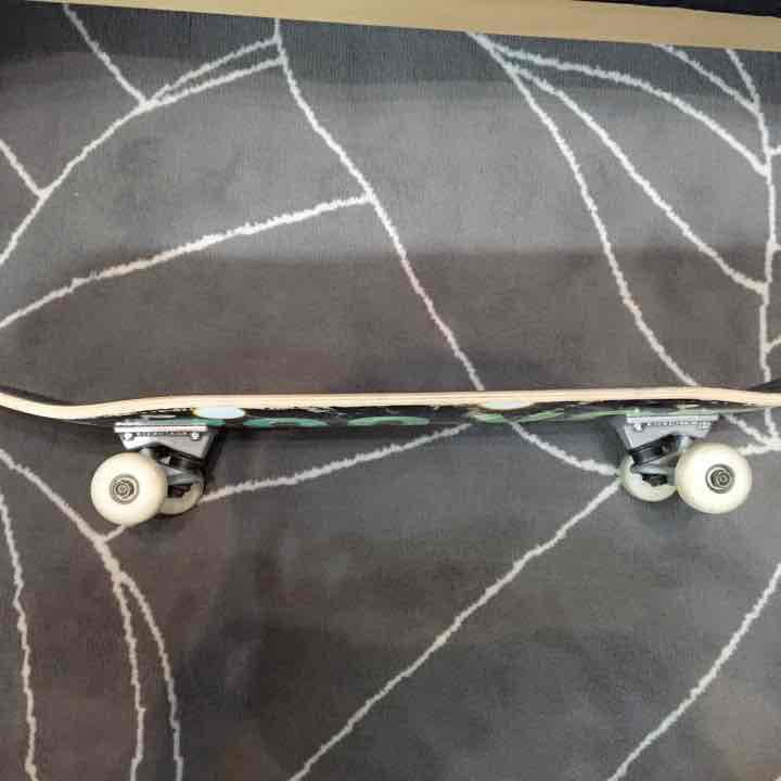 スケボー コンプリート ZOO YORK