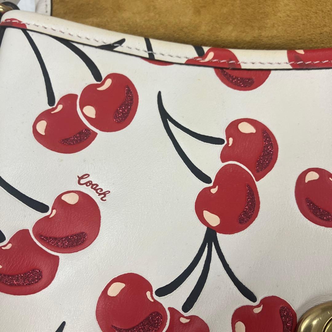 E1-1-01 COACH チェリー柄 ショルダーバッグ
