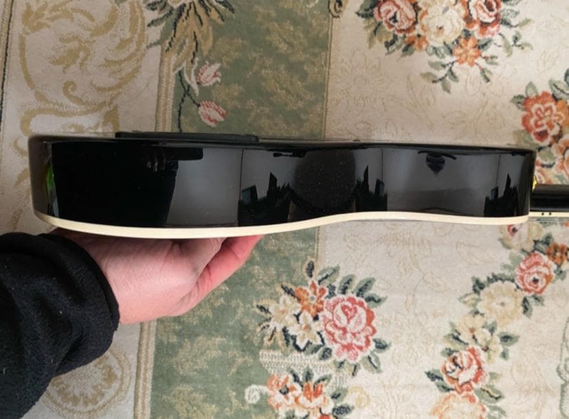 Pignose ピグノーズ PGG-259