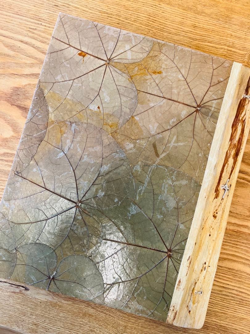 ★Hawaiian自然素材のアルバム★