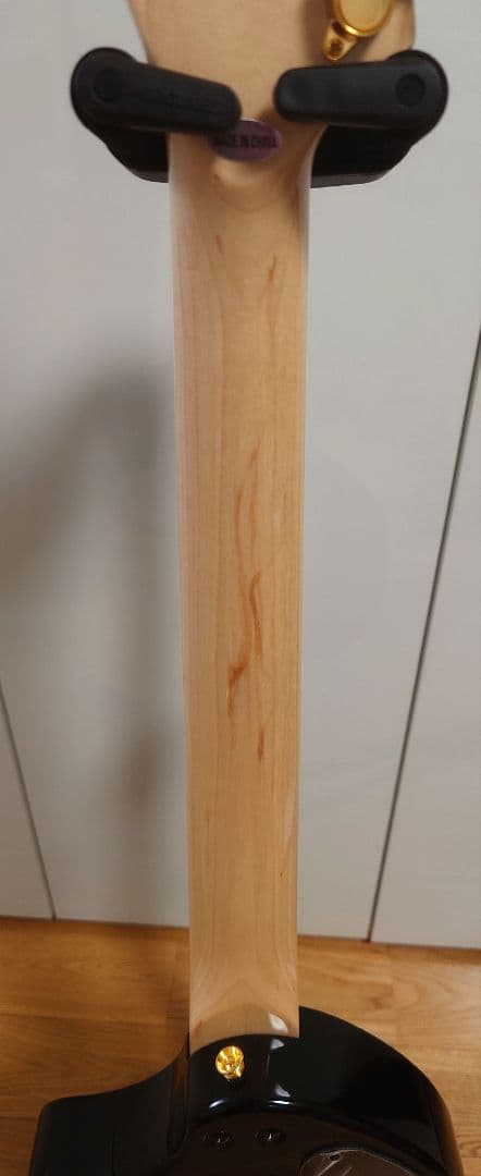 【19日迄値引】FERNANDES ZO-3 hide サイケ ハードケース付き