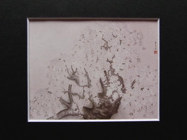 高橋さく子、【桜】、希少な額装用画集より、美品、新品額装付、インテリア