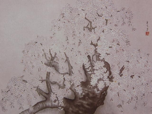 高橋さく子、【桜】、希少な額装用画集より、美品、新品額装付、インテリア