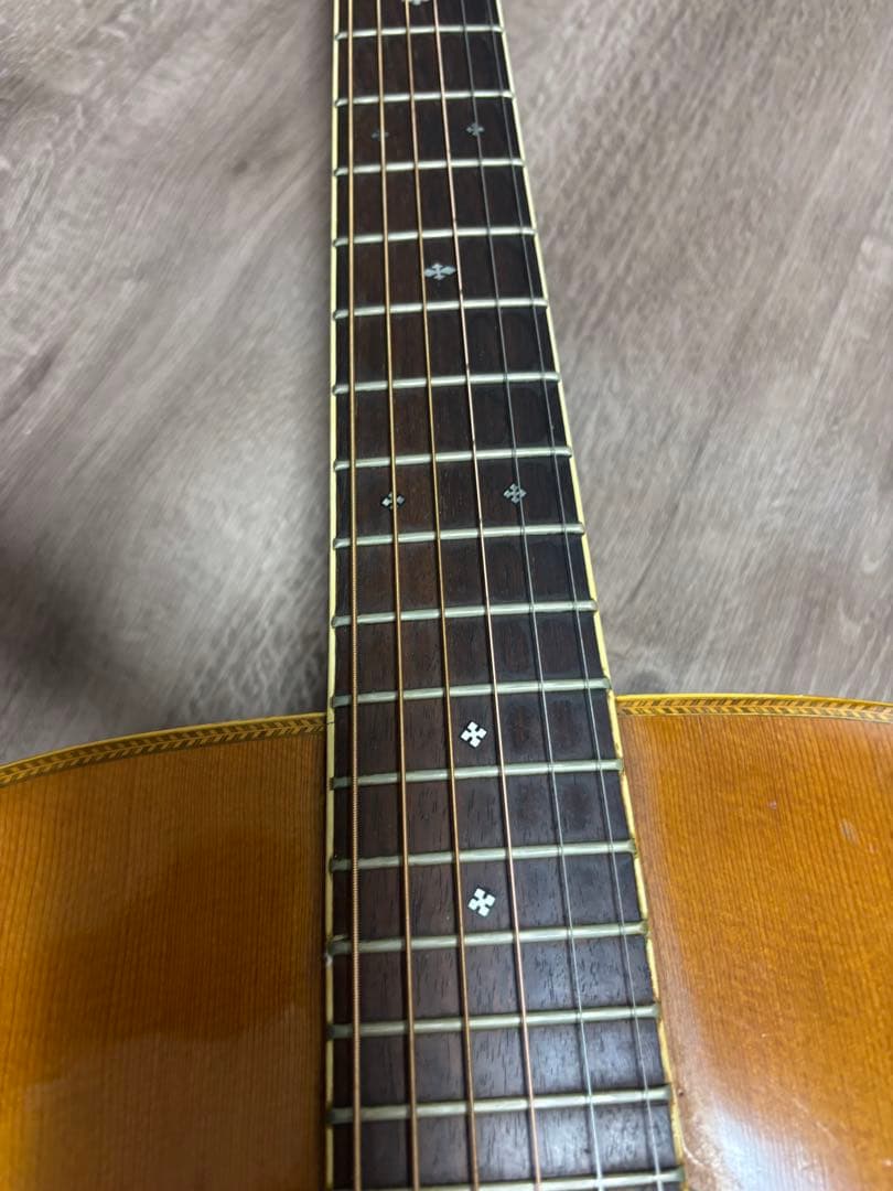 Morris & Co. アコースティックギター W 50 H