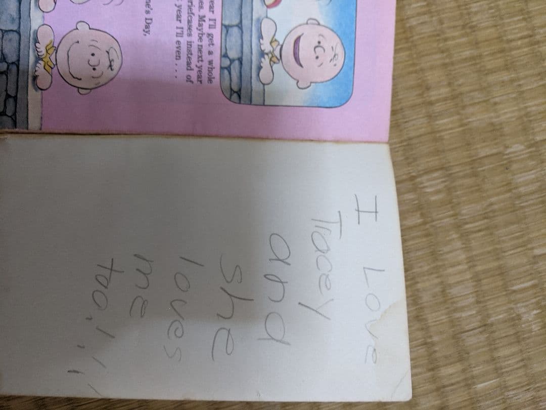 スヌーピー♡Peanut♡洋書♡洋本♡絵本セット