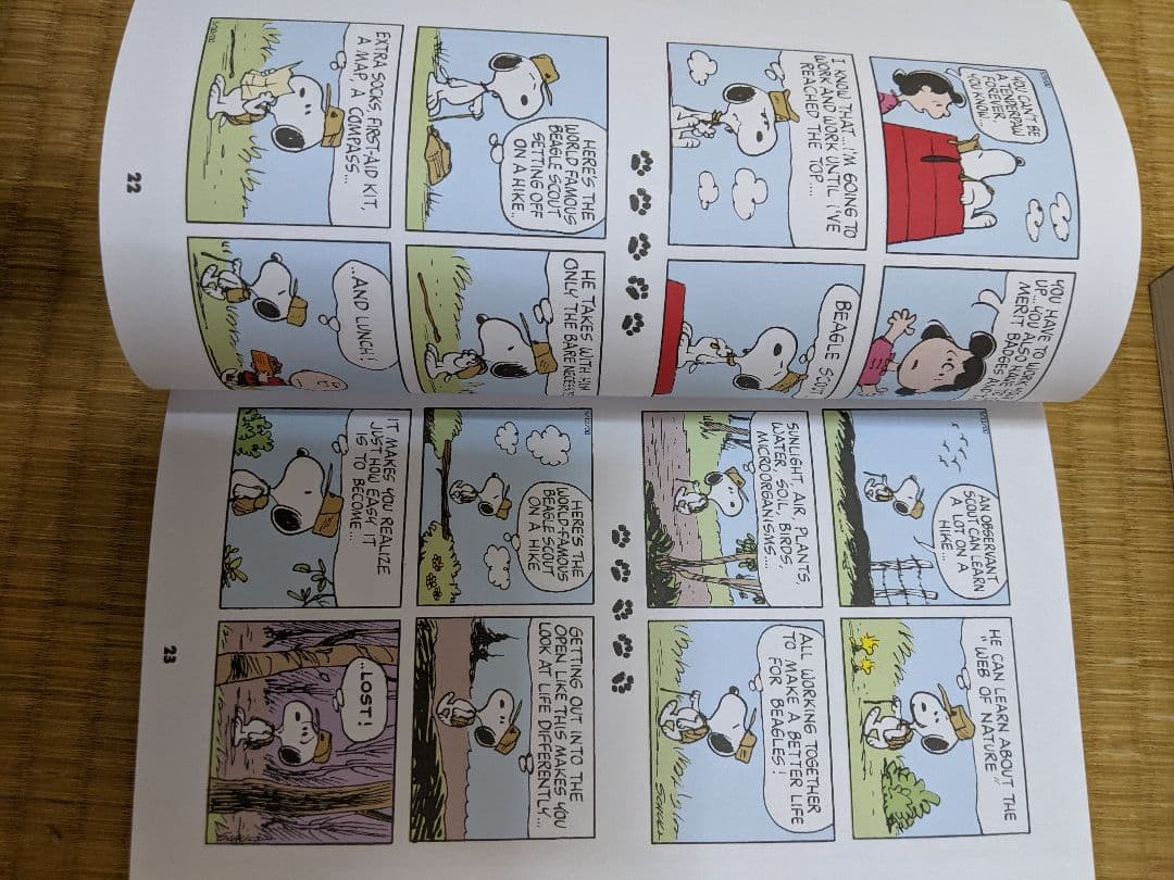 スヌーピー♡Peanut♡洋書♡洋本♡絵本セット