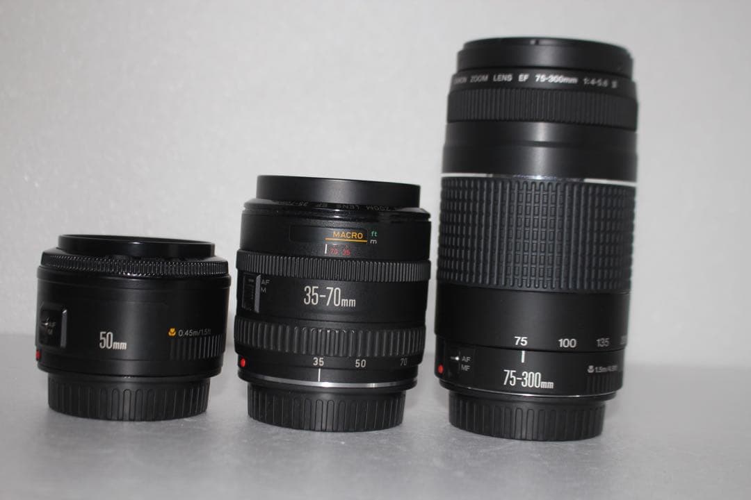 キャノンCanon EOS 9000D 標準&望遠&単焦点トリプルレンズセット