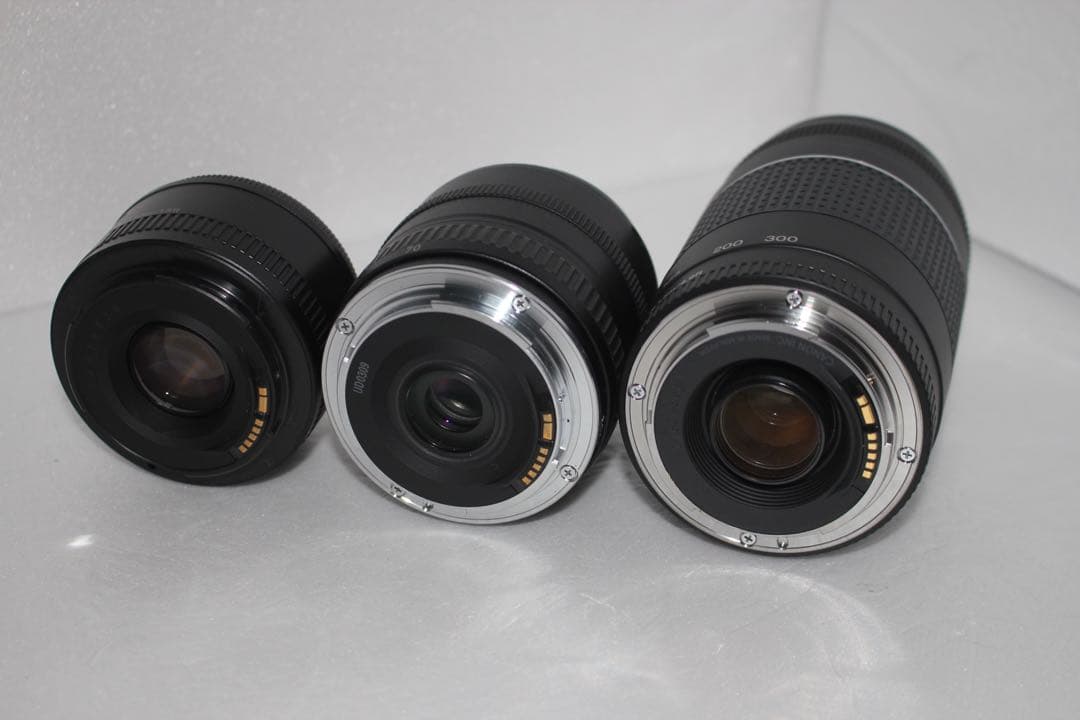 キャノンCanon EOS 9000D 標準&望遠&単焦点トリプルレンズセット