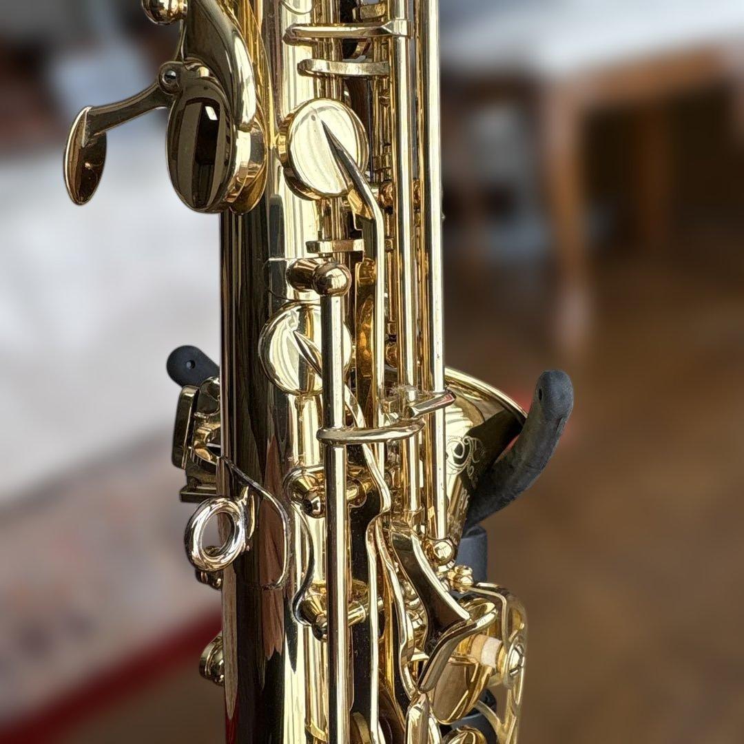 ヤナギサワ　カーブドソプラノ　SC-WO10