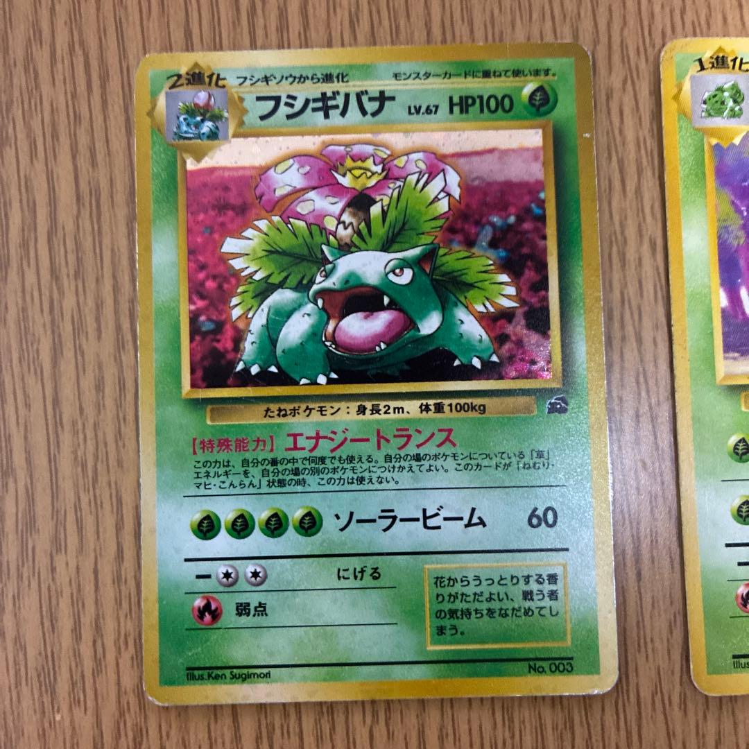 フシギバナ　フシギソウ　フシギダネ3点セット　イントロパック　旧裏