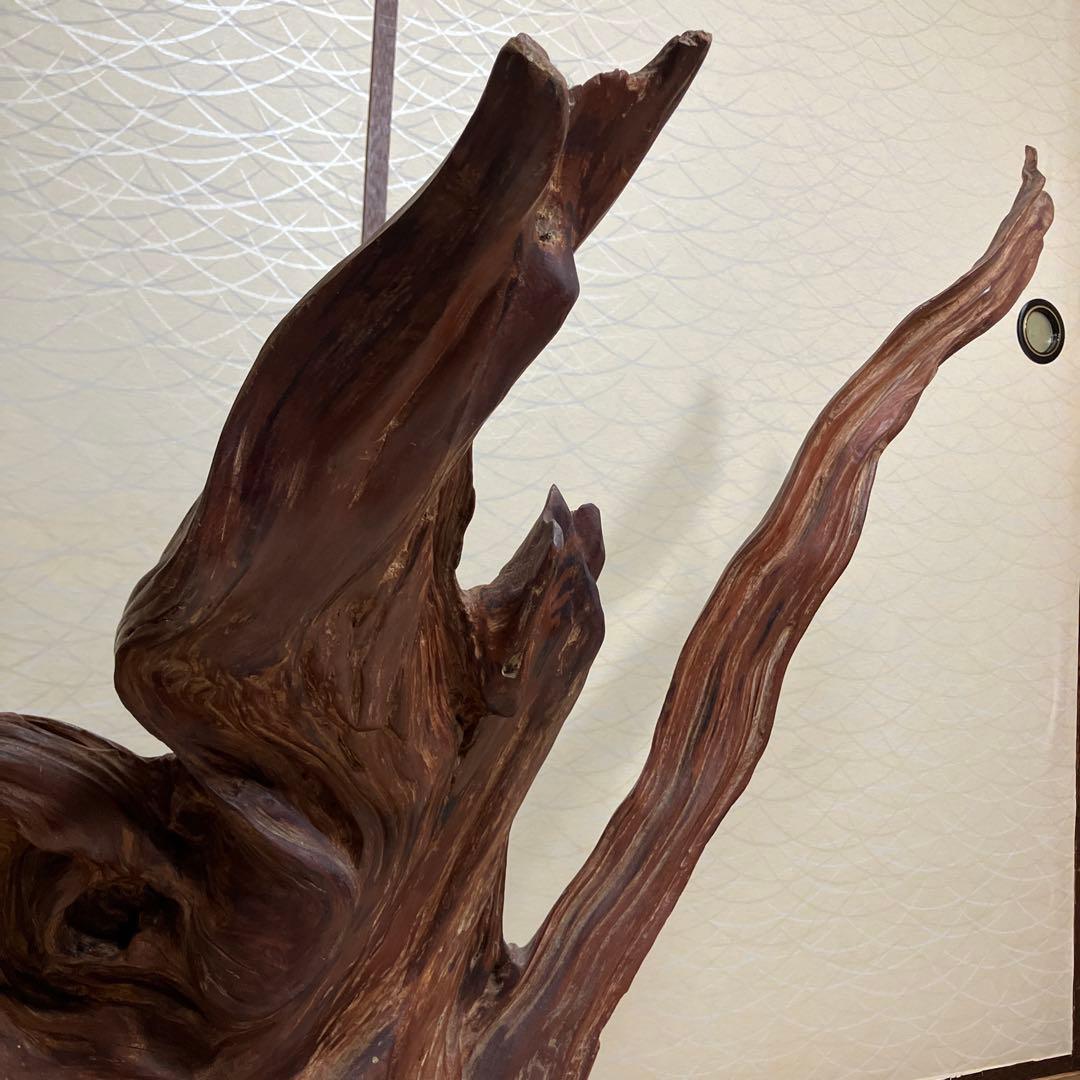 世界遺産　屋久島　屋久杉　有名アーティスト作　オブジェ