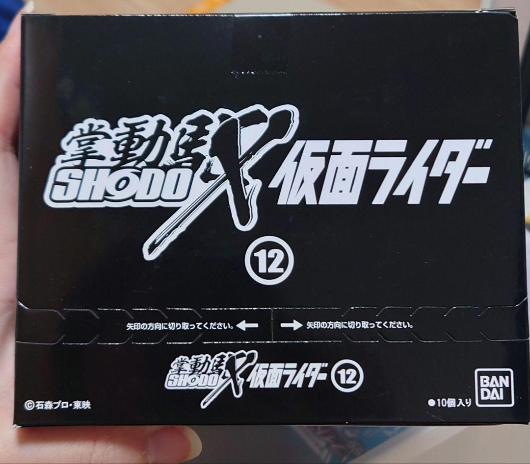バンダイ SHODO-X 仮面ライダー12