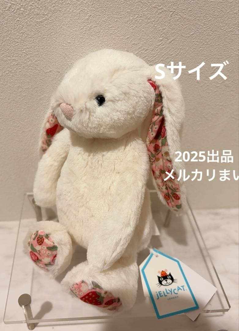  Blossom Cream Bunny 'Berry' （S）