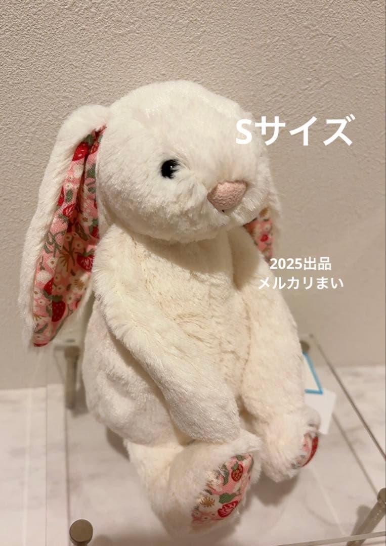  Blossom Cream Bunny 'Berry' （S）