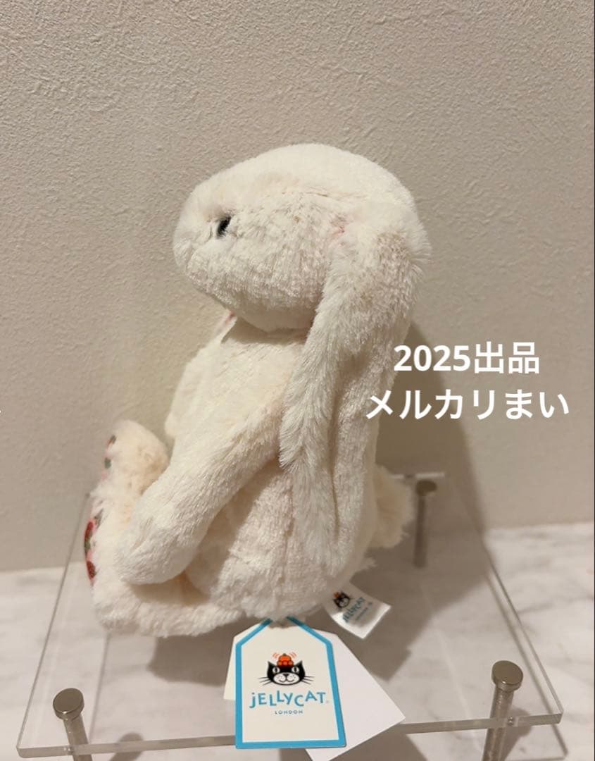  Blossom Cream Bunny 'Berry' （S）