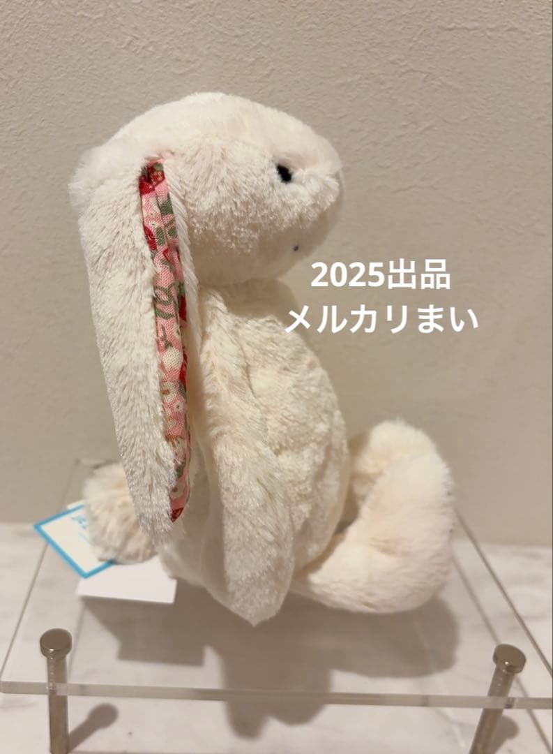  Blossom Cream Bunny 'Berry' （S）