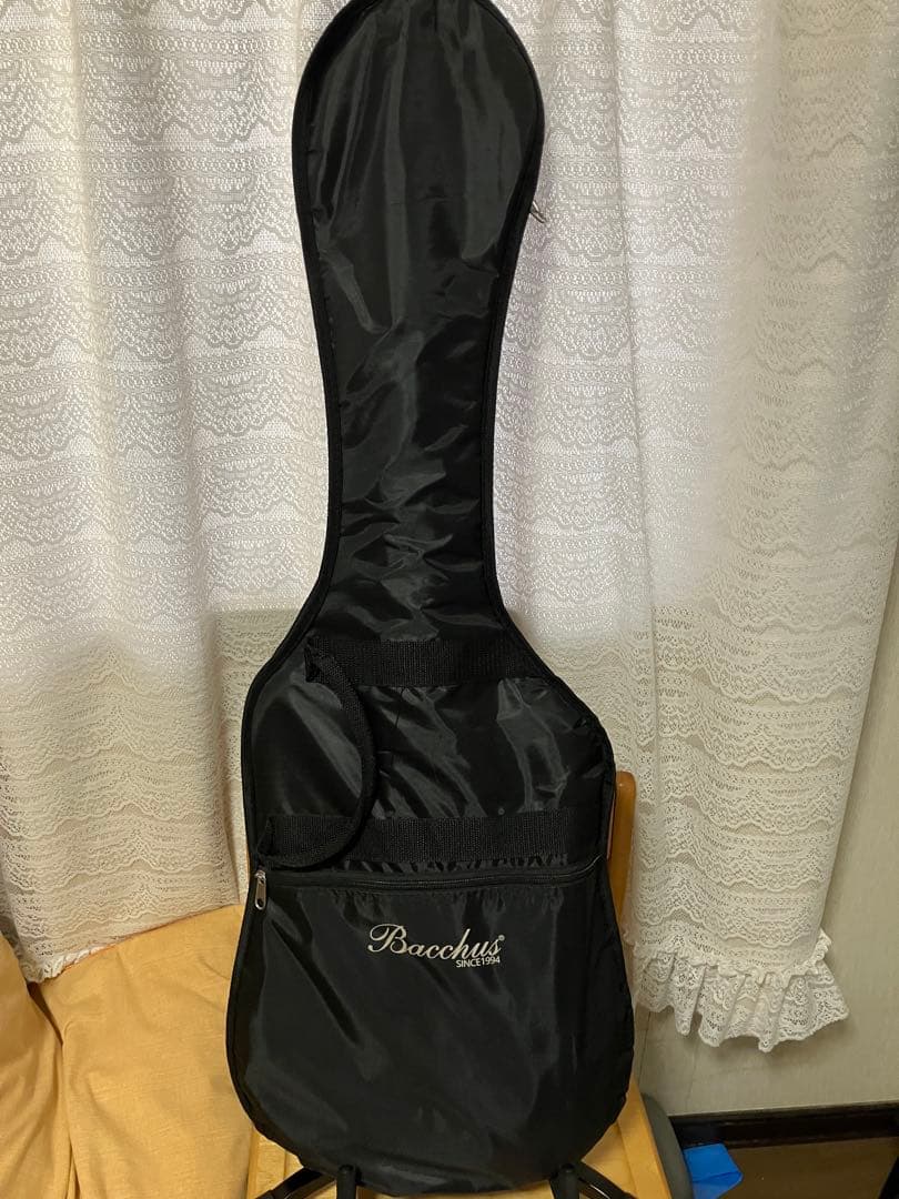 極美品 Bacchus BST-1R Tex-Mexピックアップ