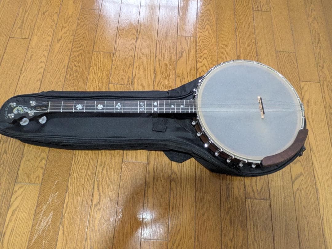 Gold Tone IT-19 Banjo 4弦 アイリッシュバンジョー