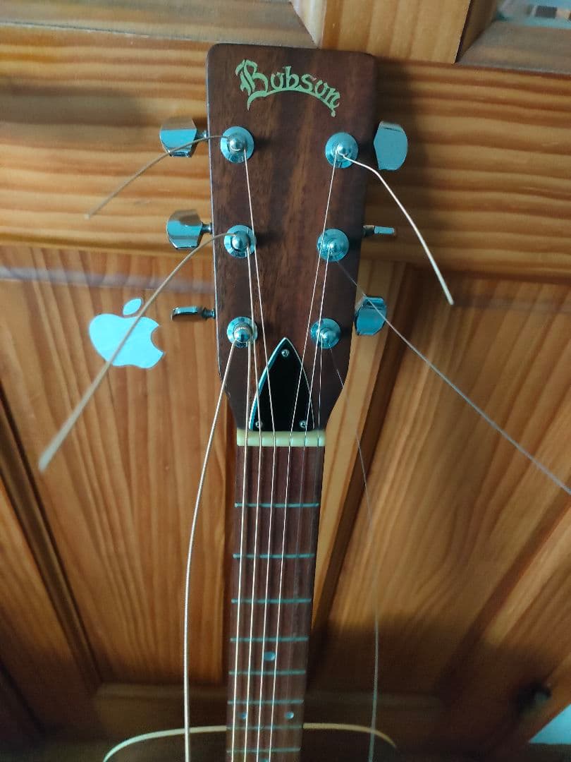 Bobson アコースティックギター