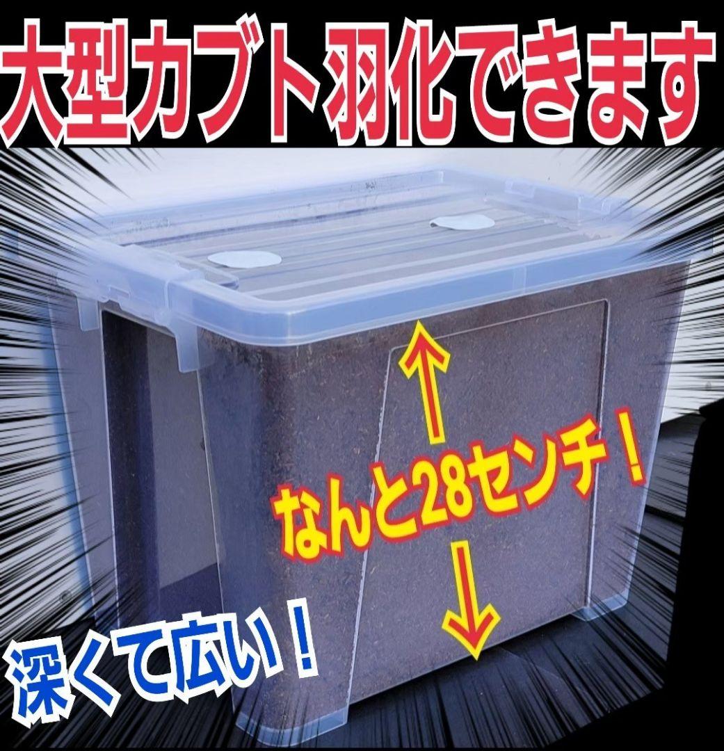 20Lボックス【2セット】プレミアム発酵マット入☆カブトムシ幼虫を入れるだけ！