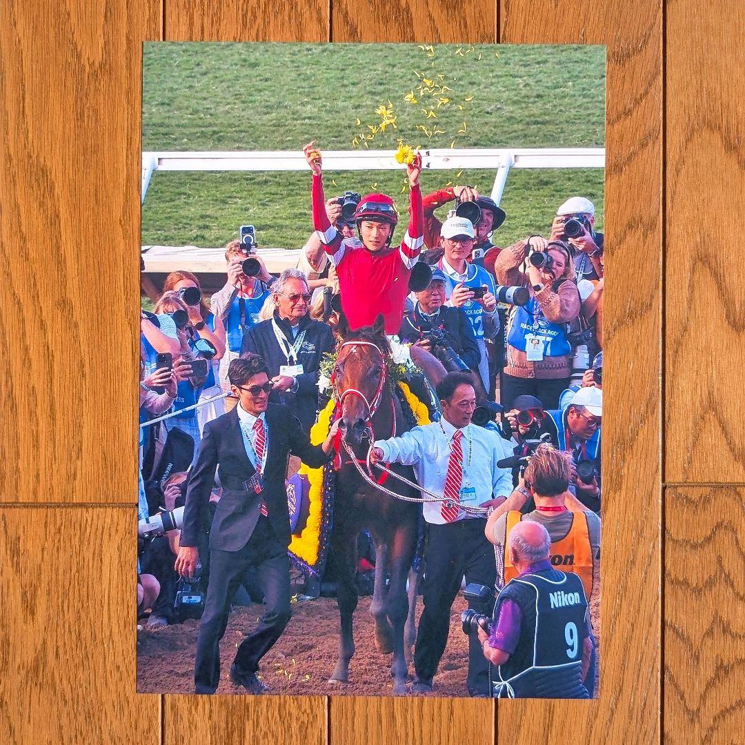 フォーエバーヤング BCクラシック 単勝馬券 パンフレット 写真セット