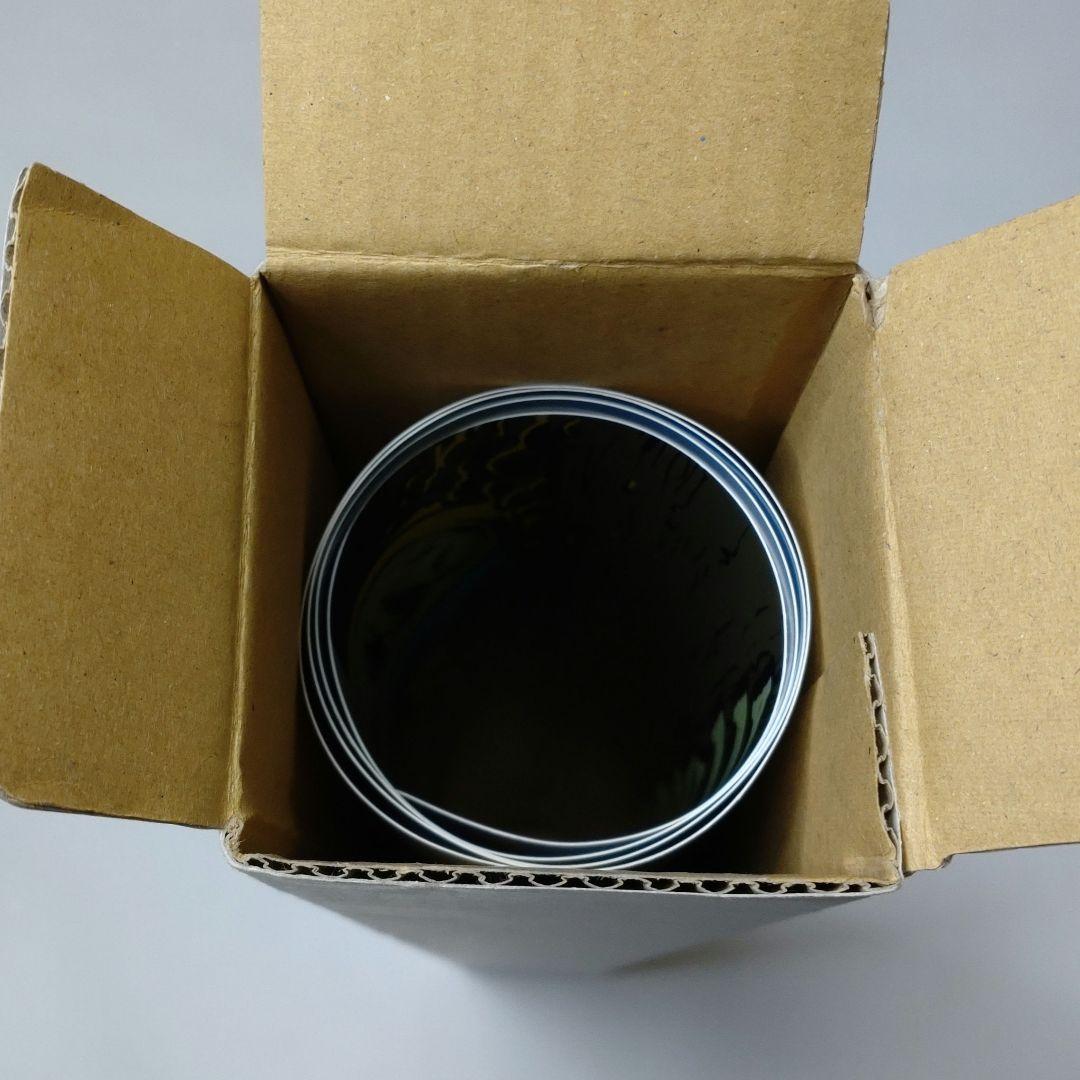 ken yokoyama DEAD AT BUDOKAN ポスター