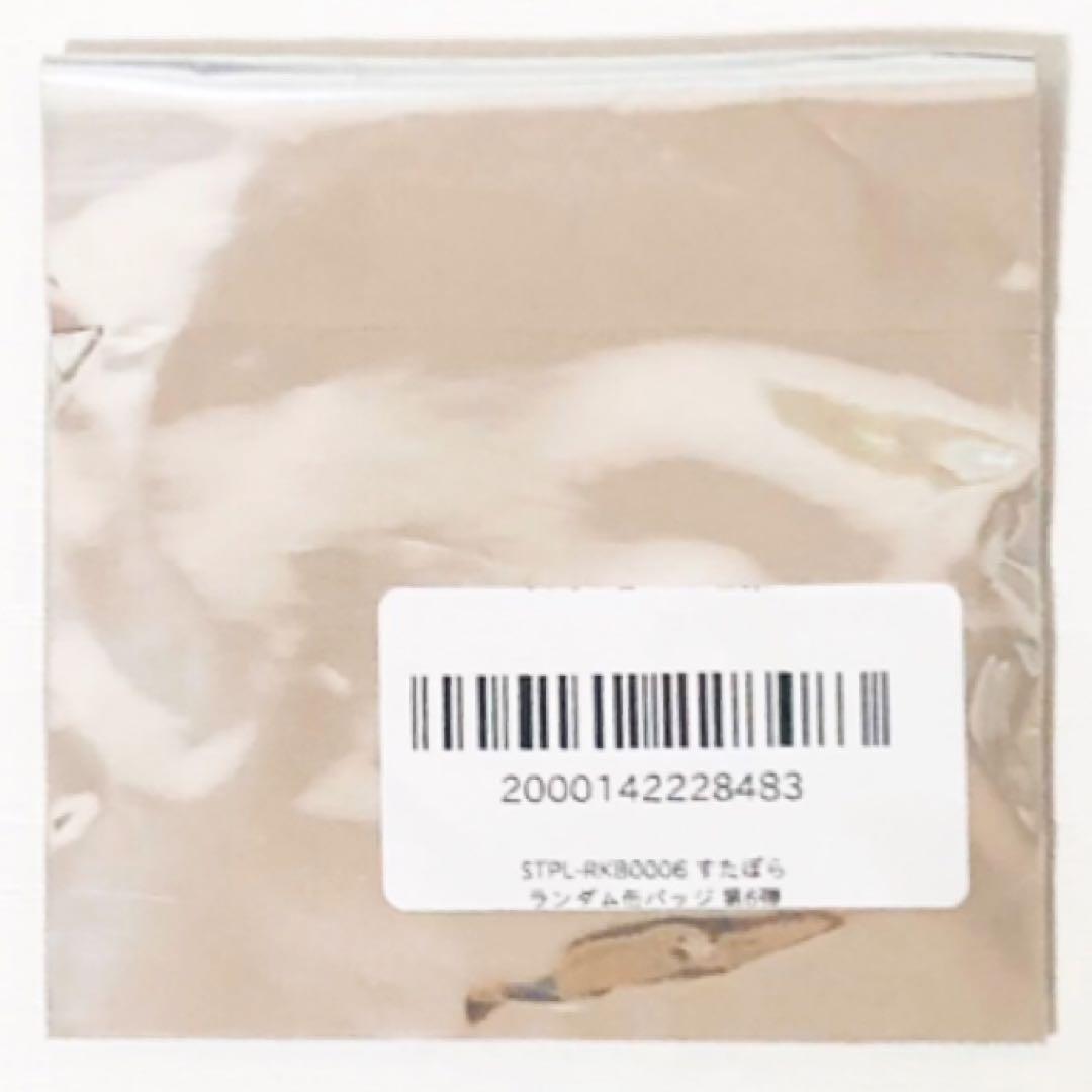 新品★すたぽら【Relu】缶バッジ★第6弾★4点セット