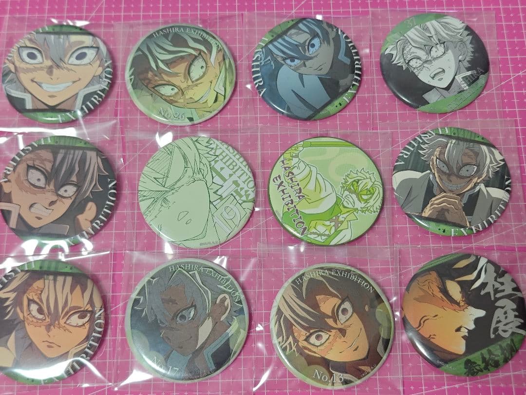 鬼滅の刃 柱展 柱百景 エモーショナル缶バッジ 不死川実弥 12個セット