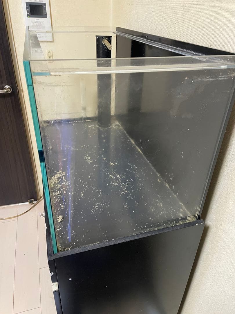 オルカ オーバーフロー水槽 900 サンゴ 海水