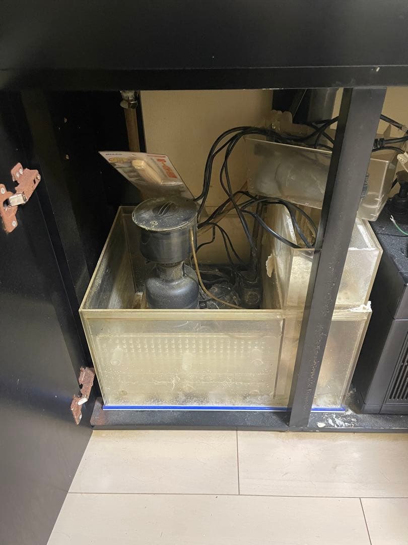 オルカ オーバーフロー水槽 900 サンゴ 海水